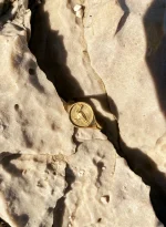 Sygnet Mewa - obrazek 2