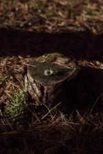 Kora Ring - obrazek 4